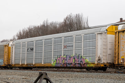 TTGX 708264