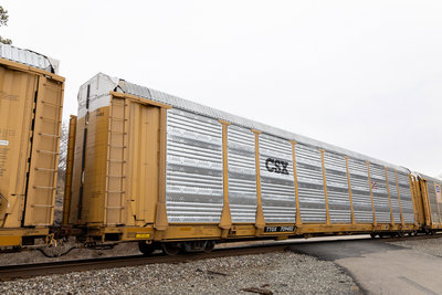 TTGX 709482