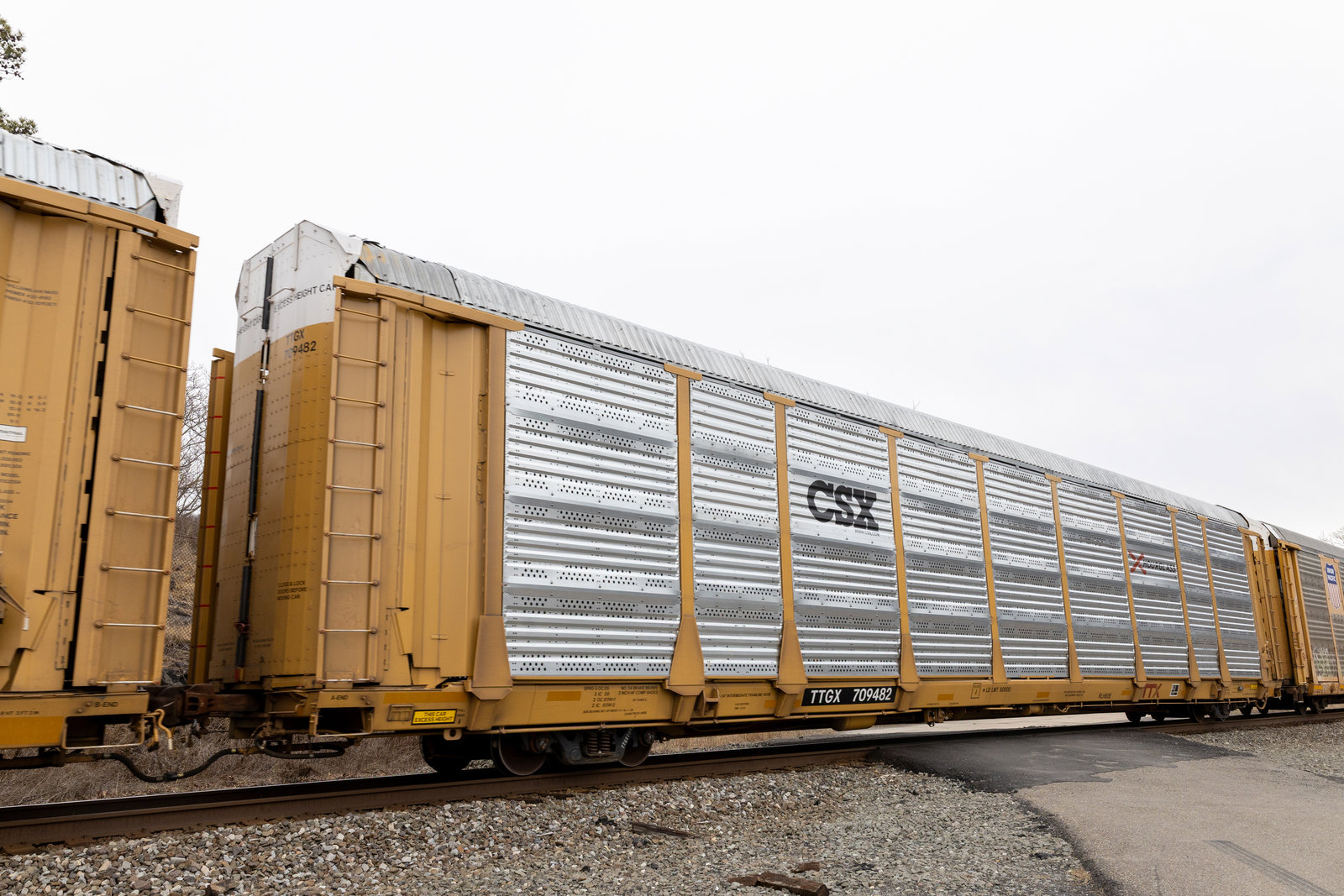 TTGX 709482