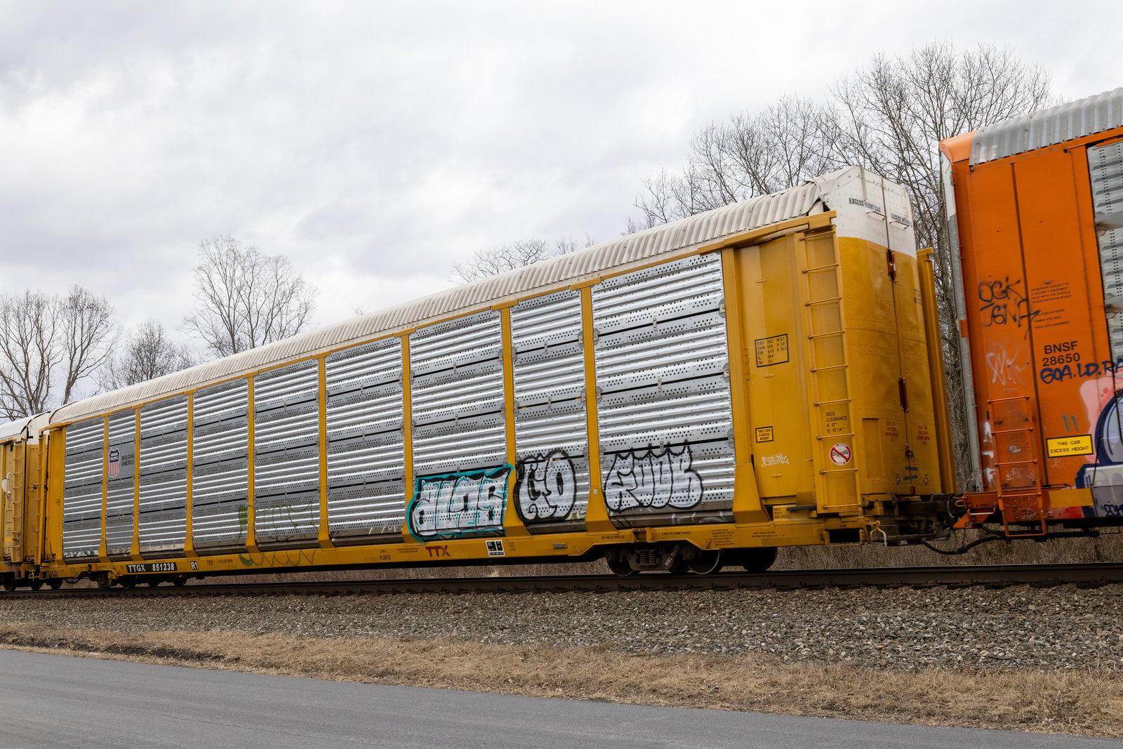 TTGX 851238