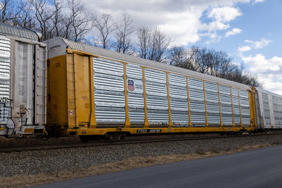 TTGX 820785