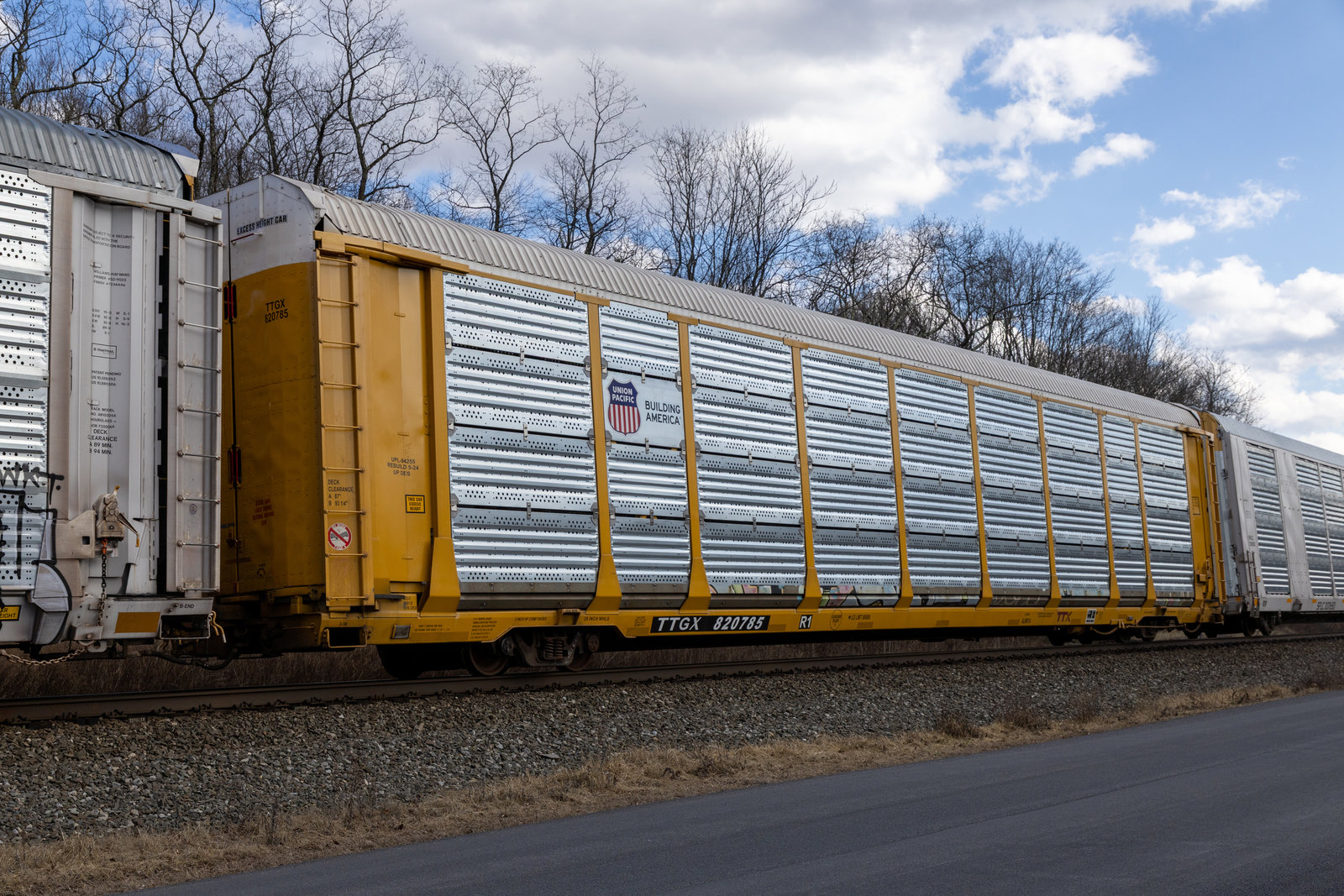 TTGX 820785