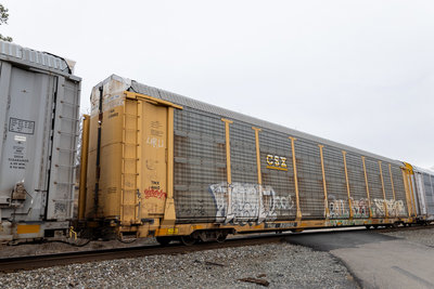 TTGX 820602