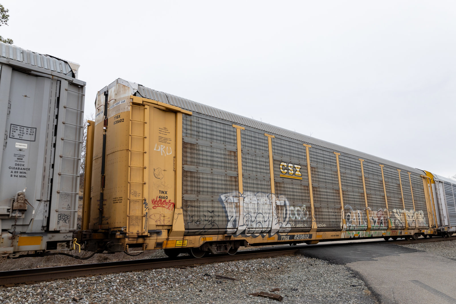 TTGX 820602