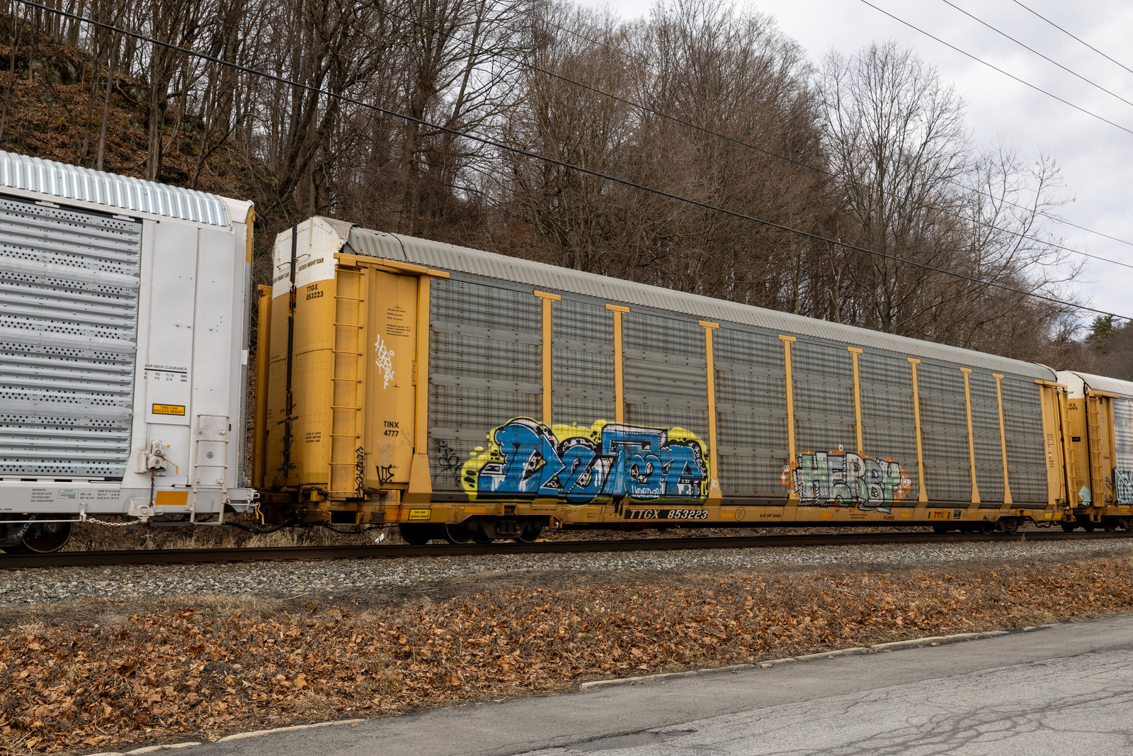 TTGX 853223