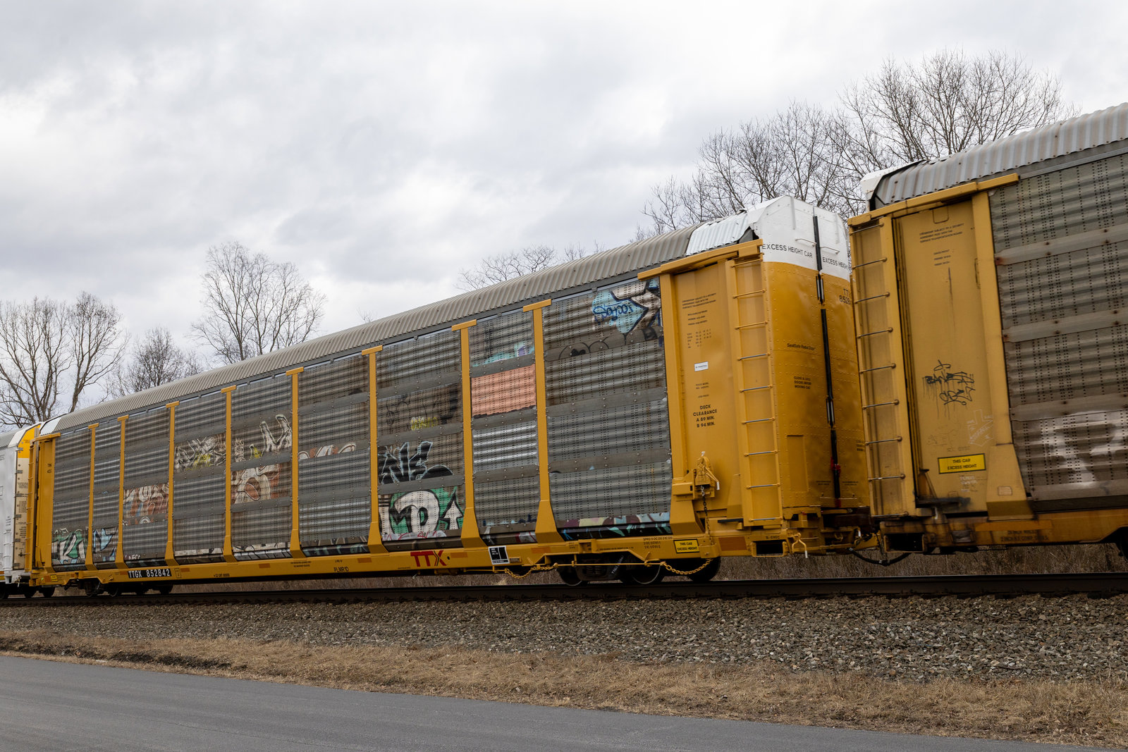 TTGX 852842