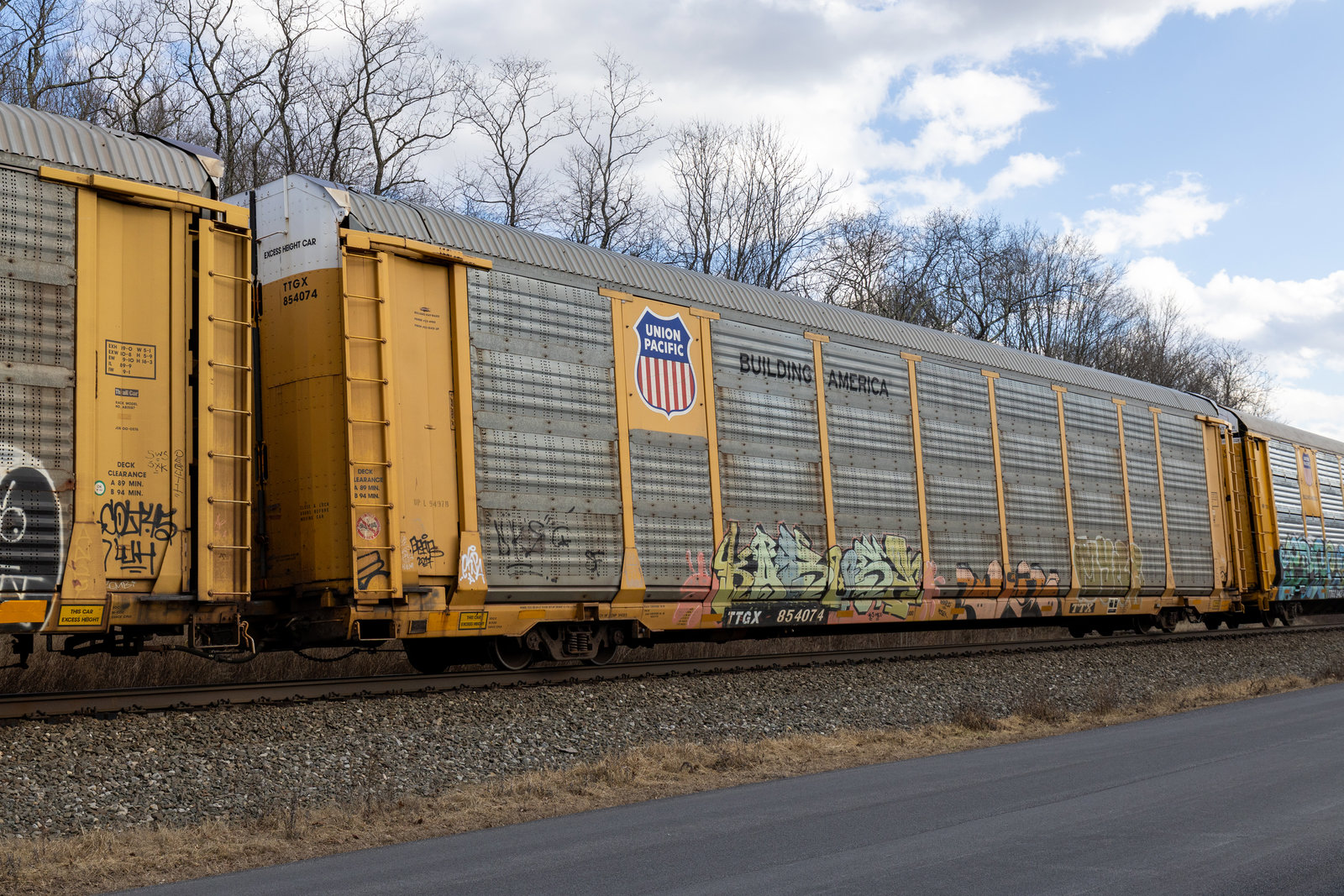 TTGX 854074