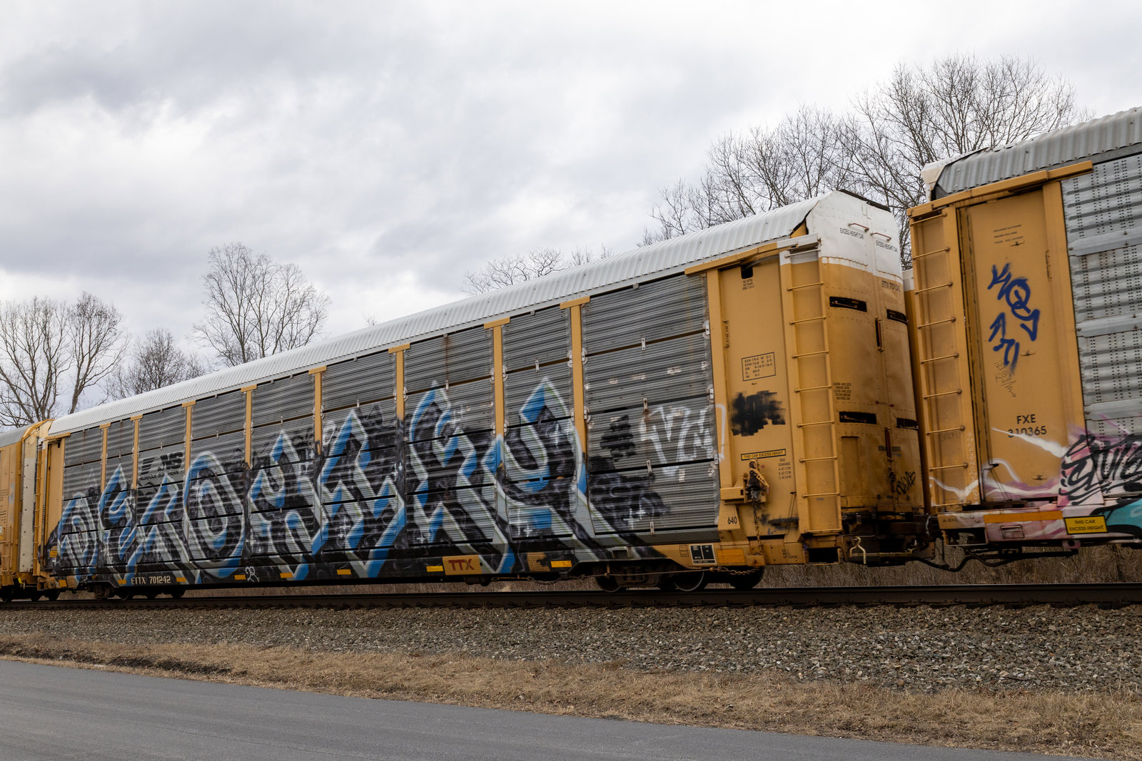 ETTX 701242