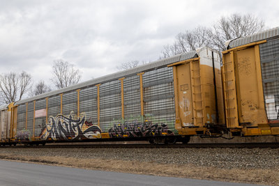 ETTX 703290