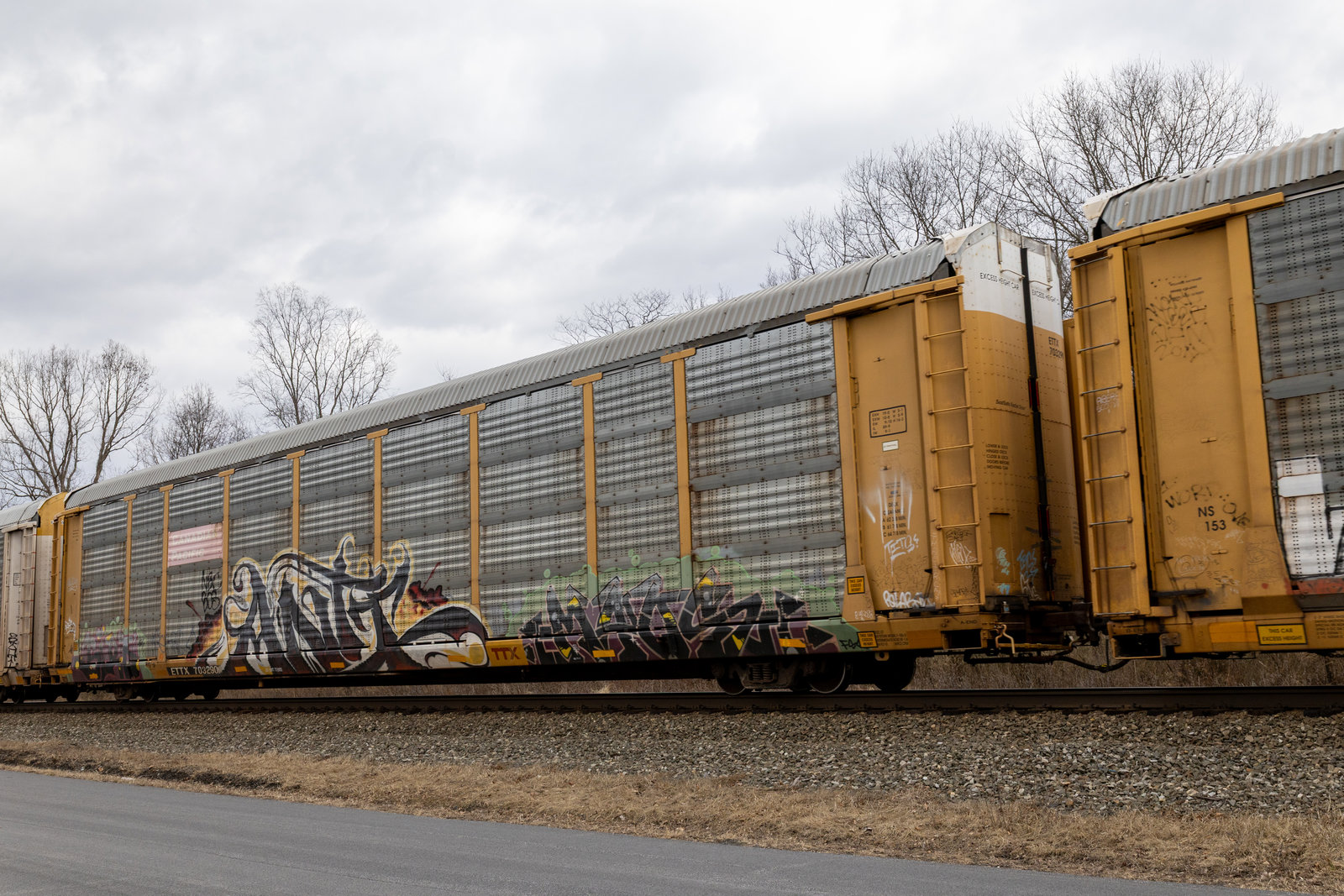 ETTX 703290