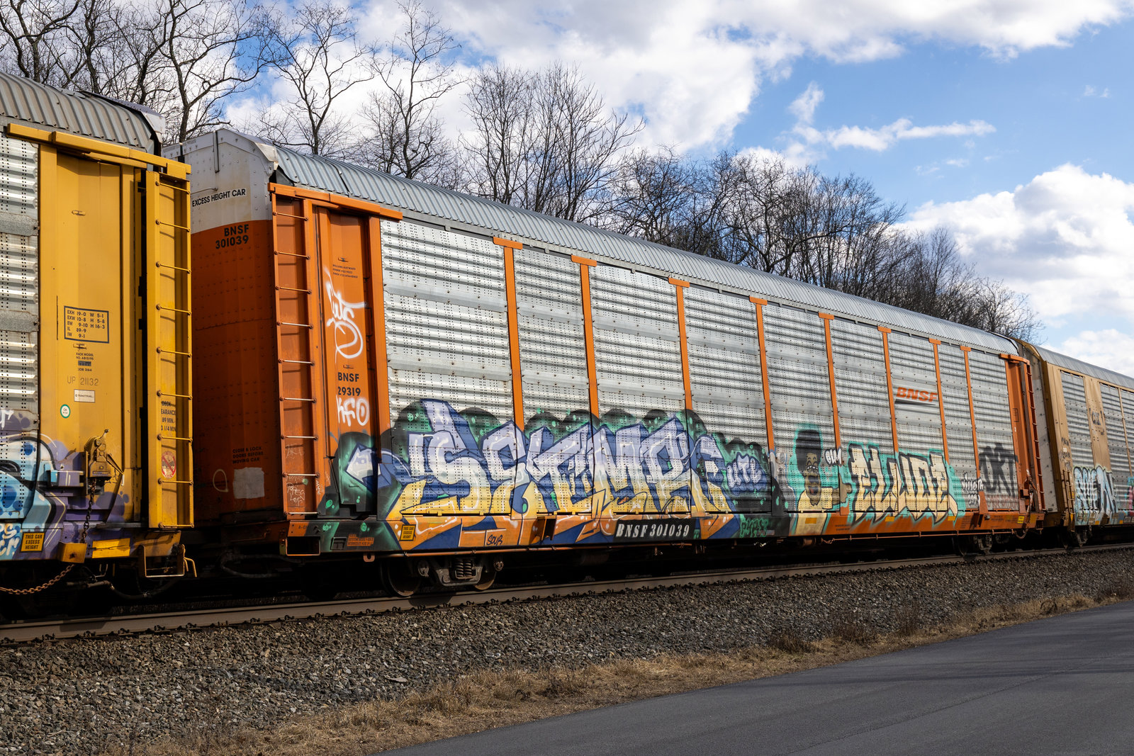 BNSF 301039