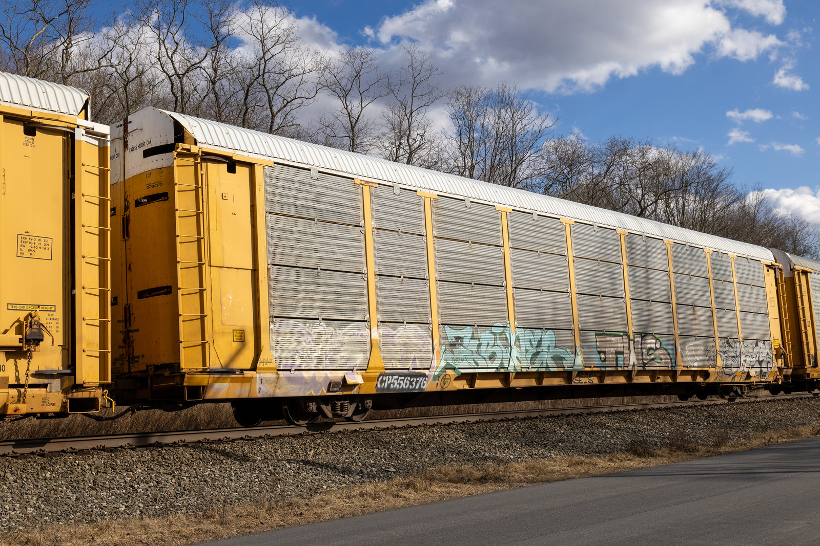 CP 556376
