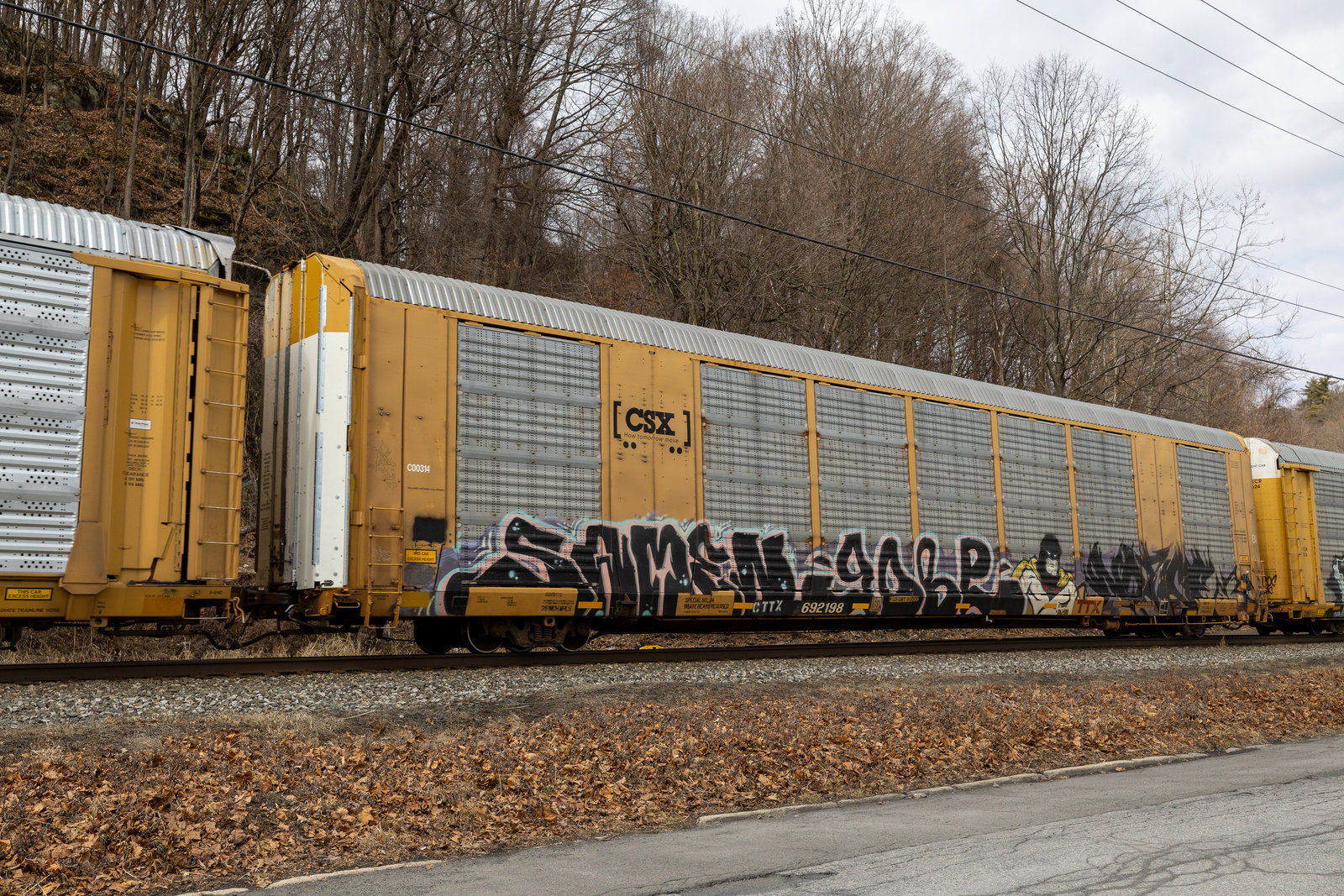 CTTX 692198