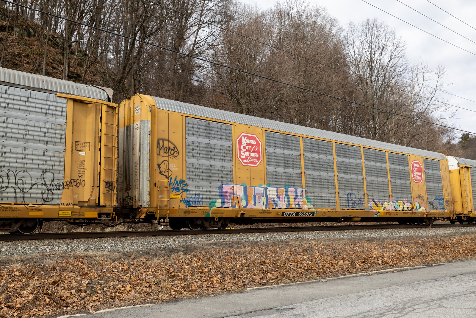 CTTX 695073