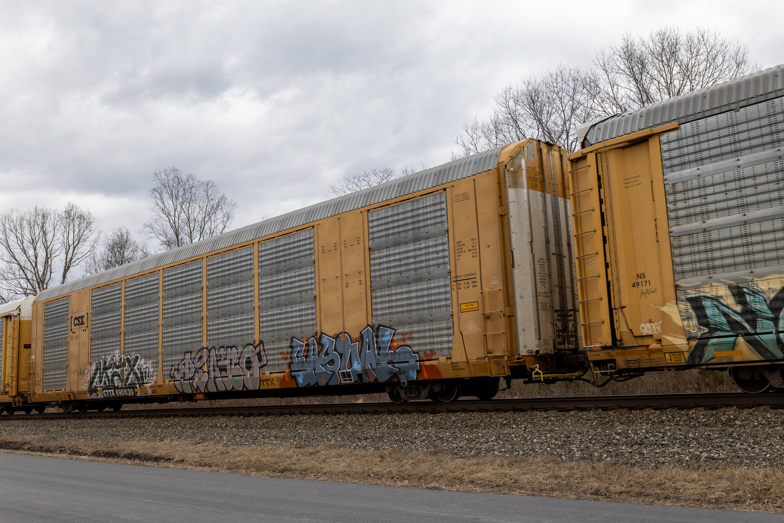 CTTX 690639