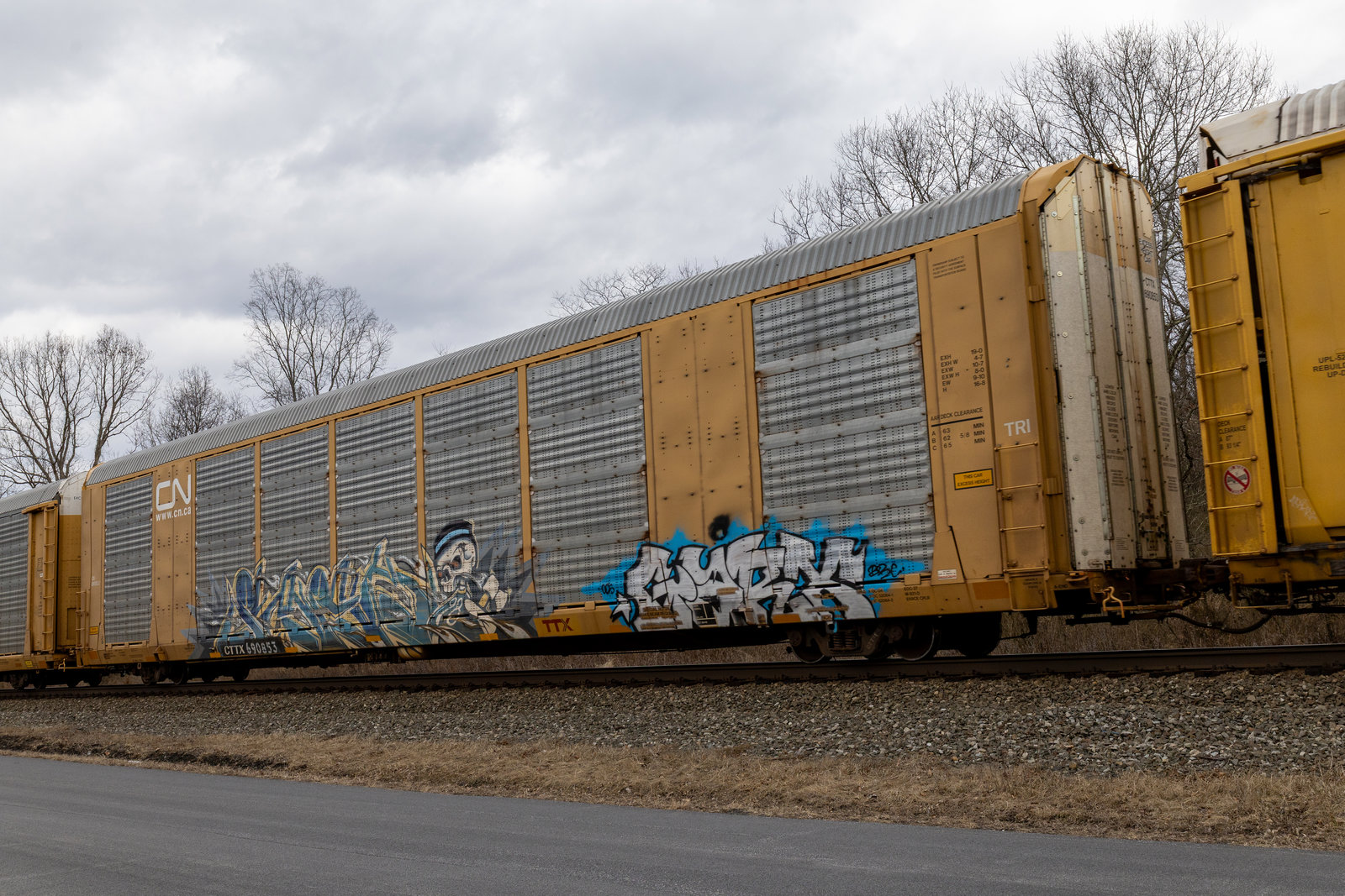 CTTX 690853
