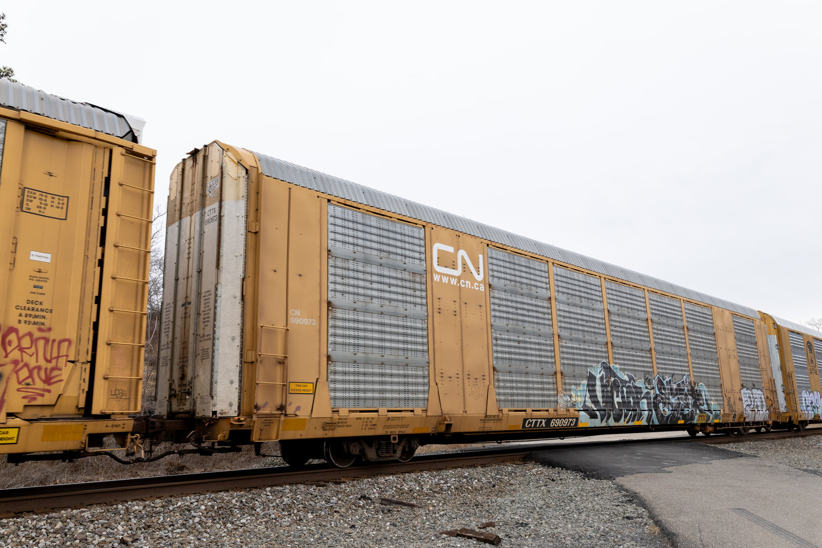 CTTX 690973