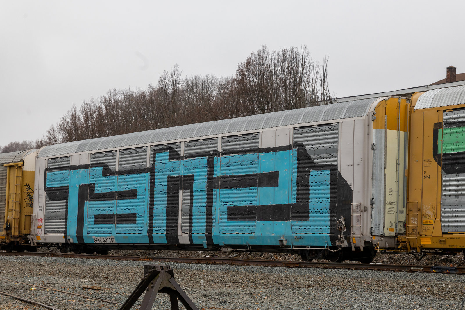 SFLC 307447