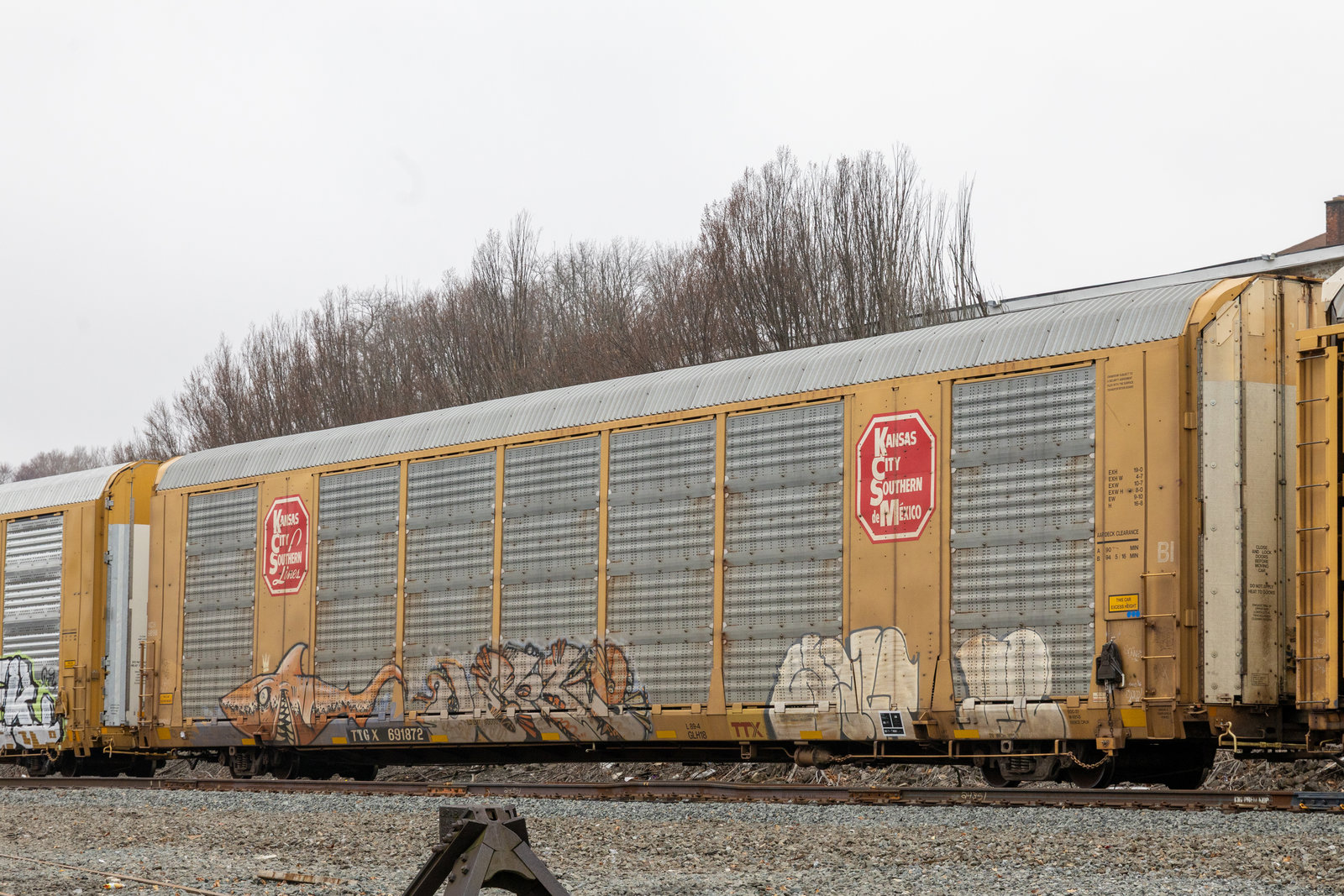 TTGX 691872