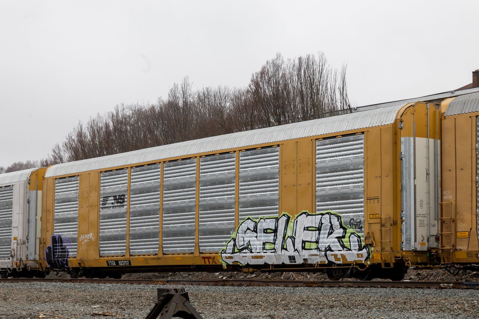 TTGX 823707