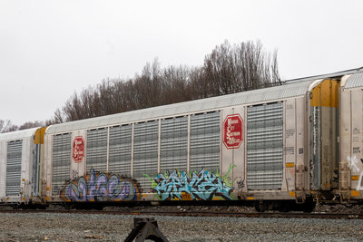 TTGX 697248