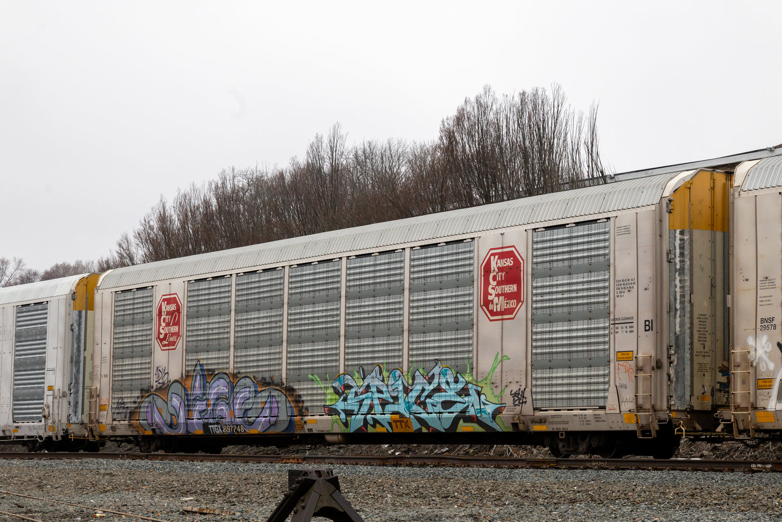 TTGX 697248