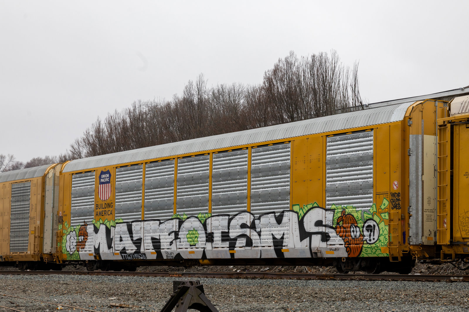 TTGX 699626