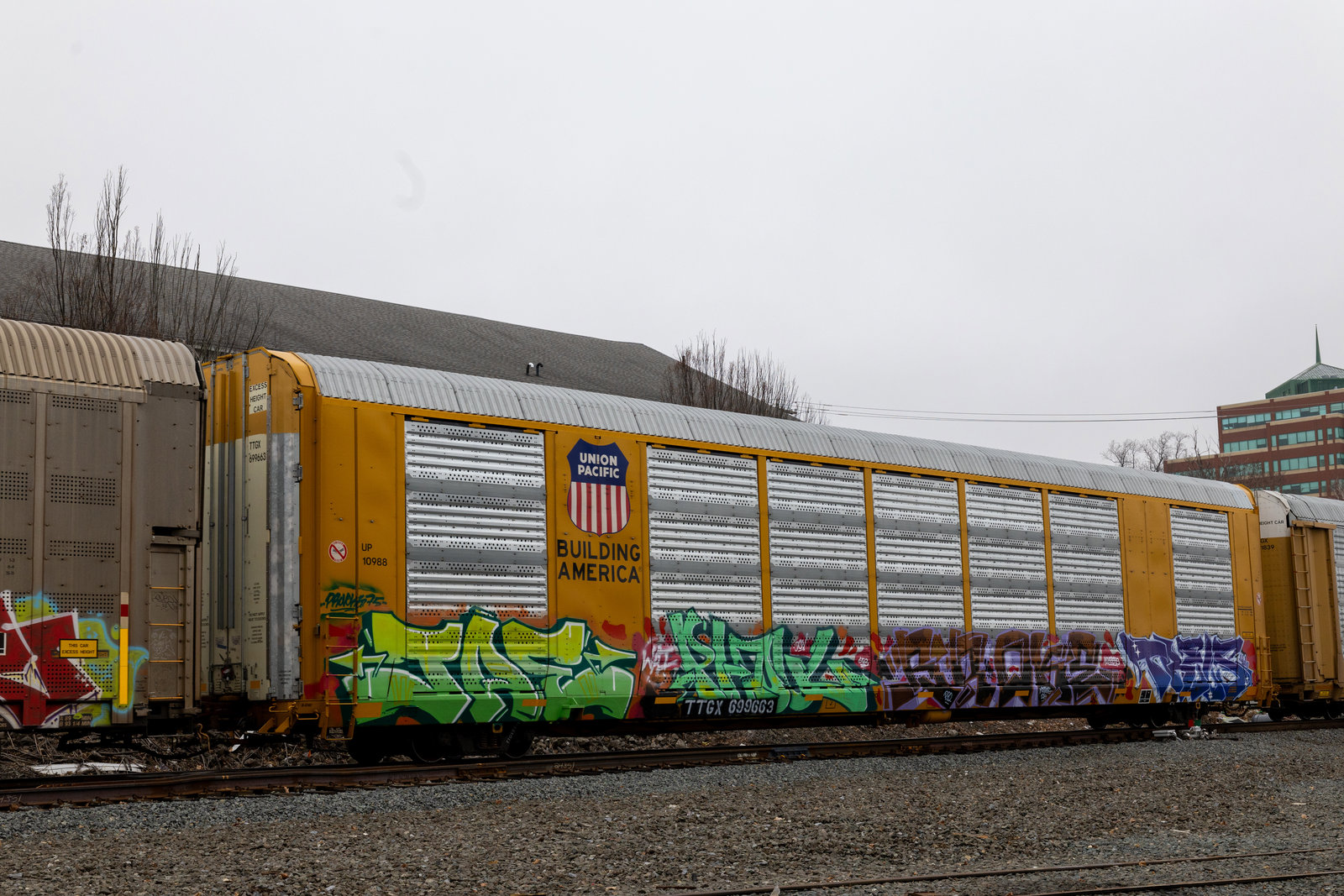 TTGX 699663