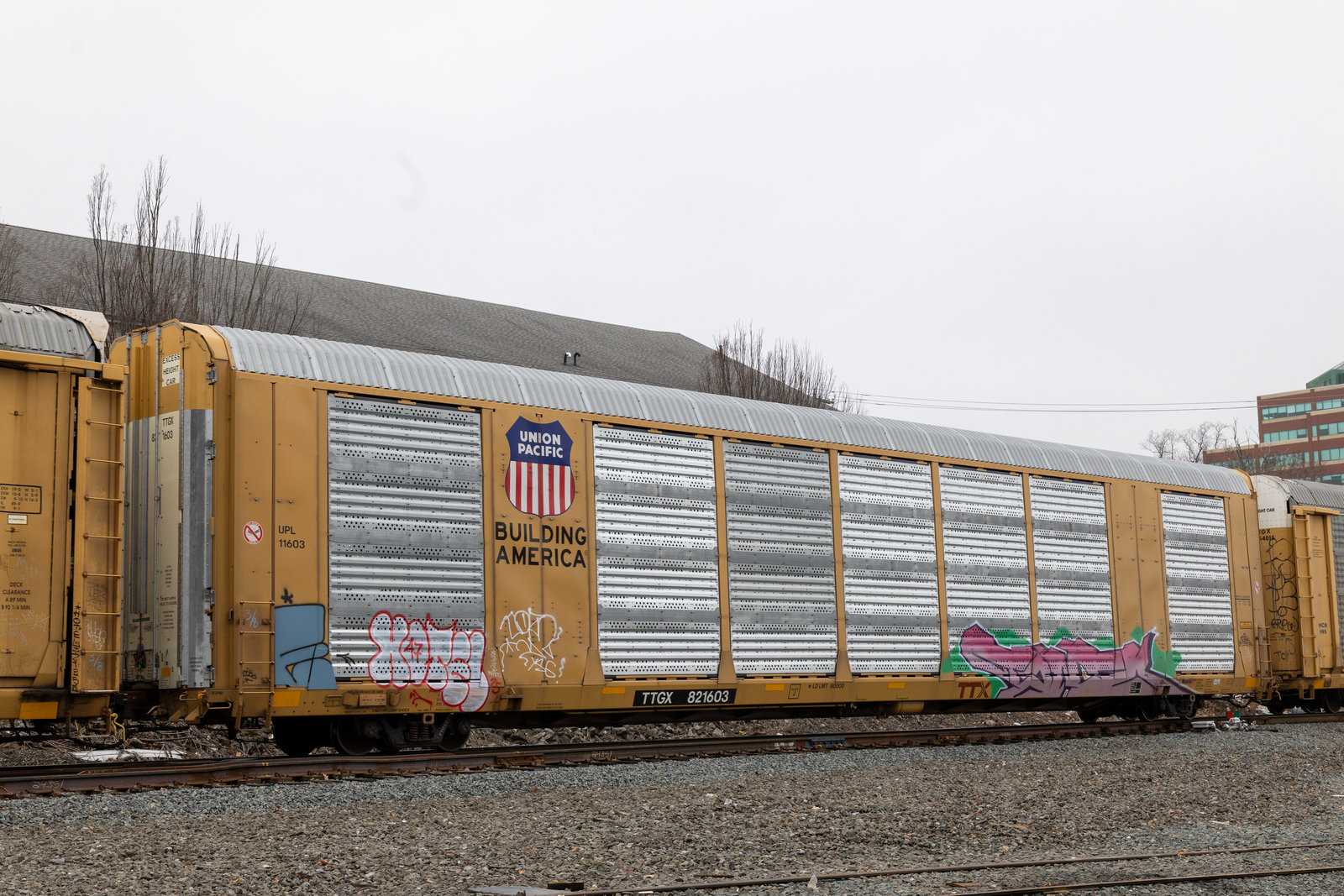 TTGX 821603