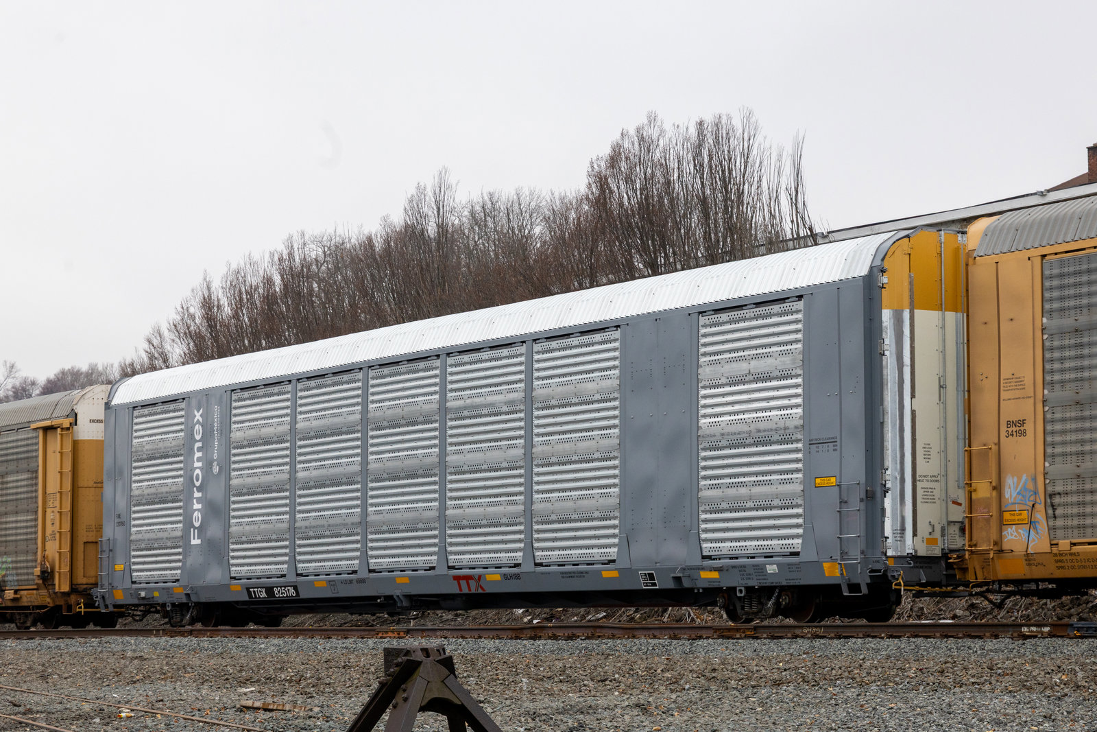 TTGX 825176