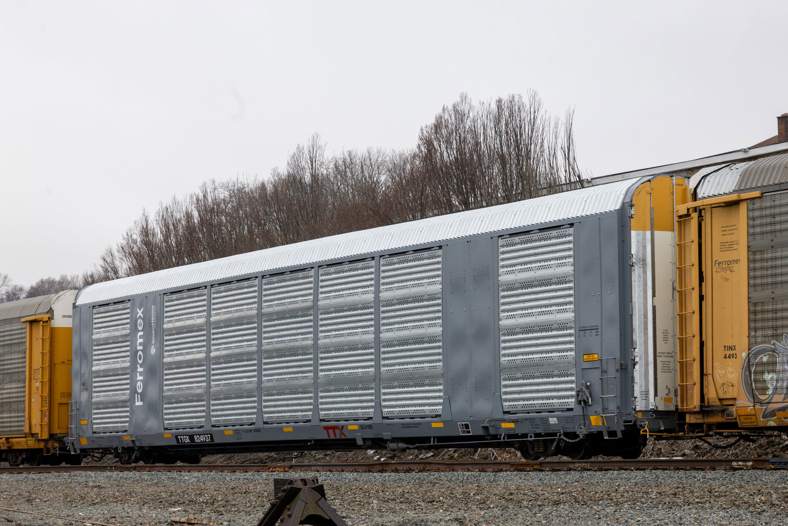 TTGX 824937