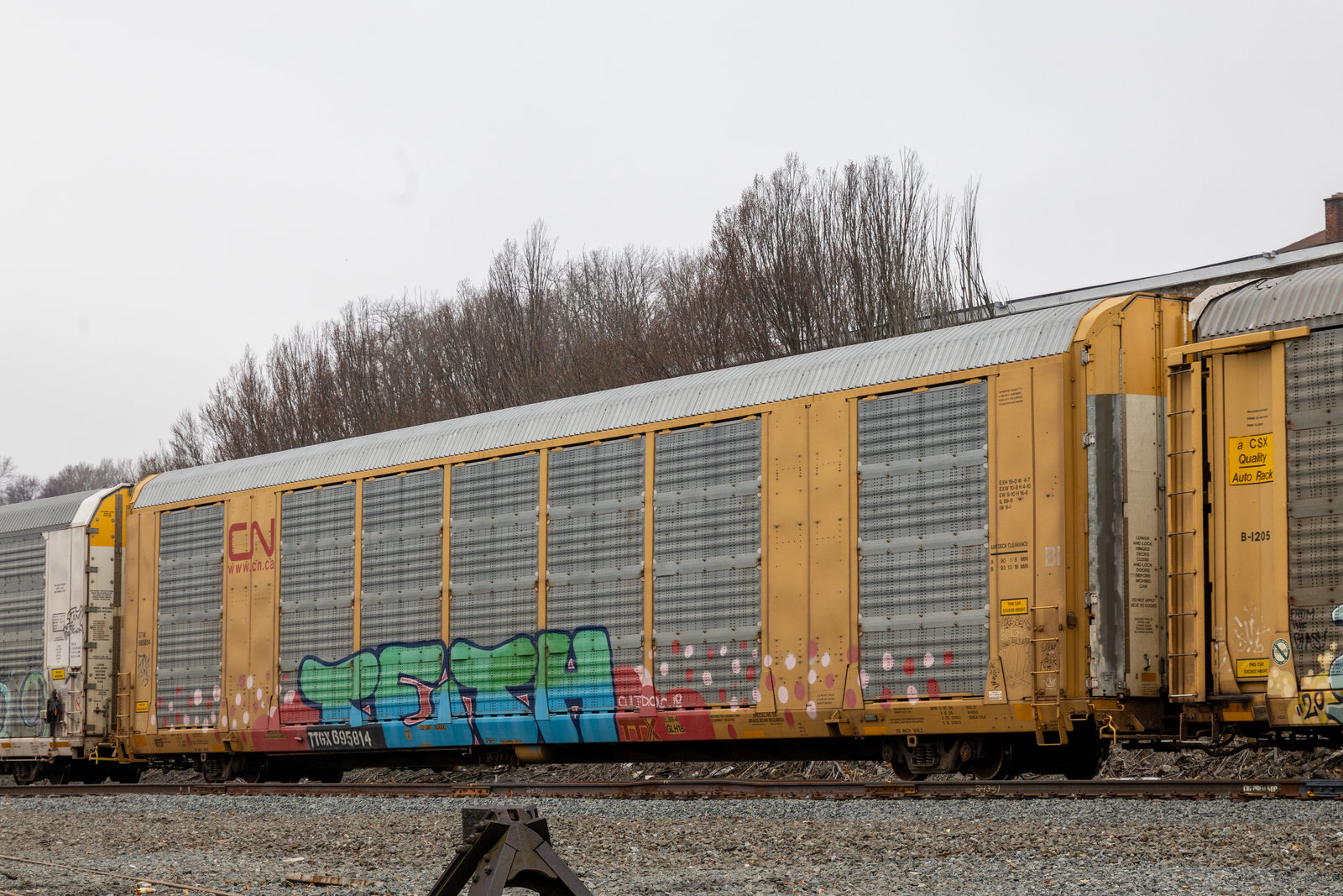 TTGX 695814
