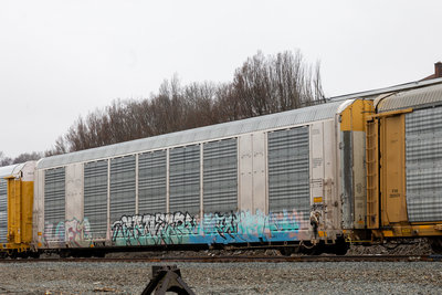 TTGX 698270