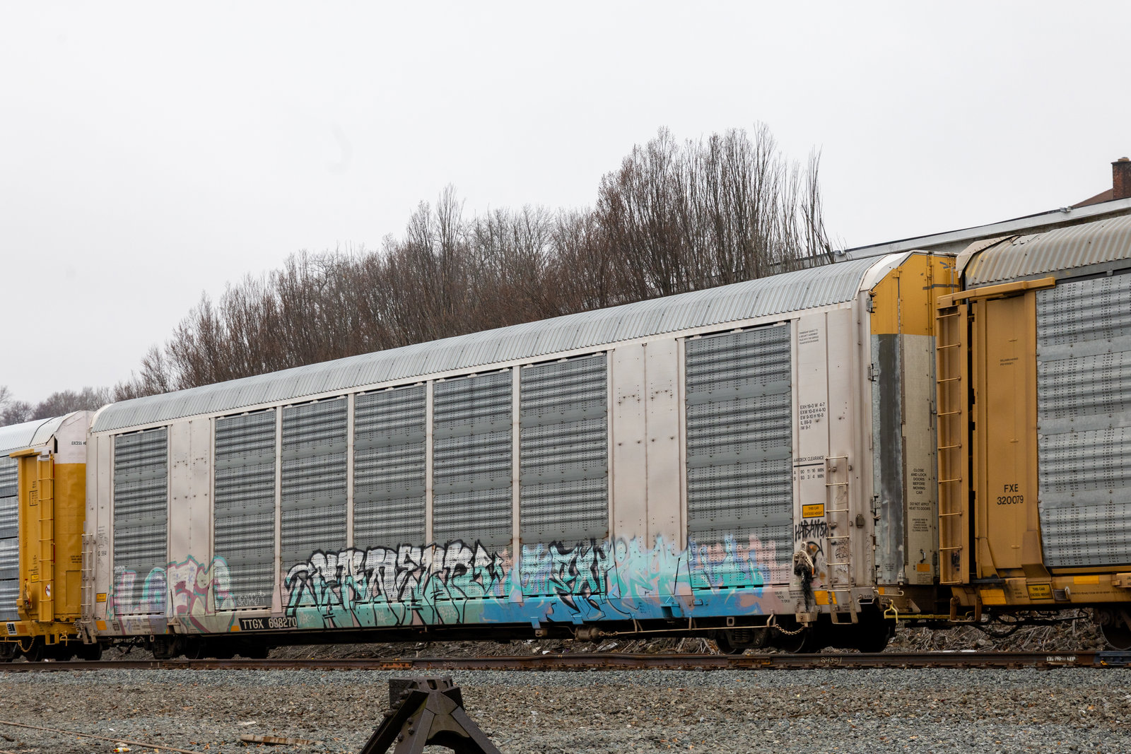TTGX 698270