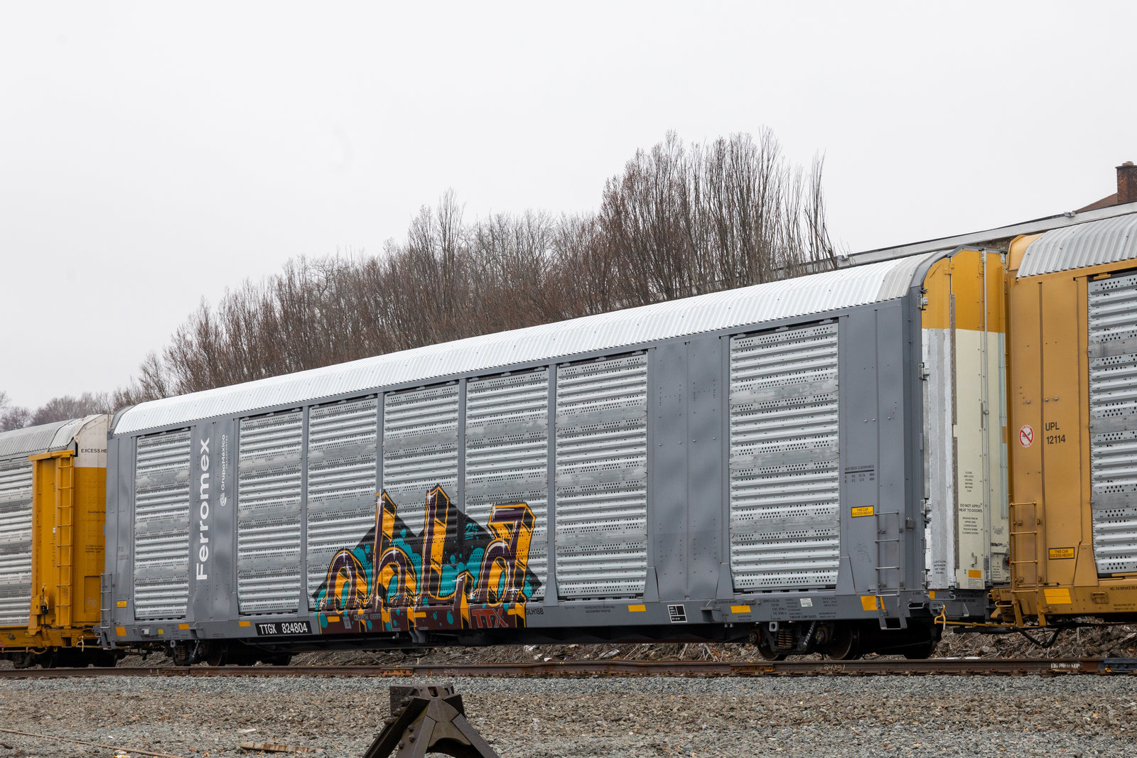 TTGX 824804