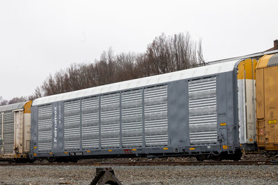 TTGX 825068