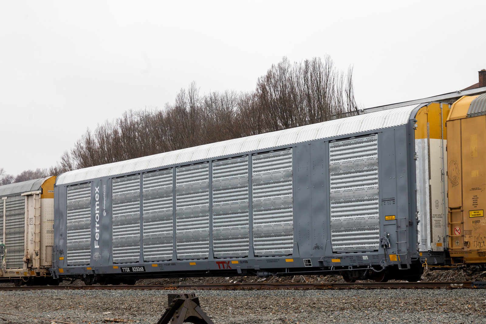 TTGX 825068
