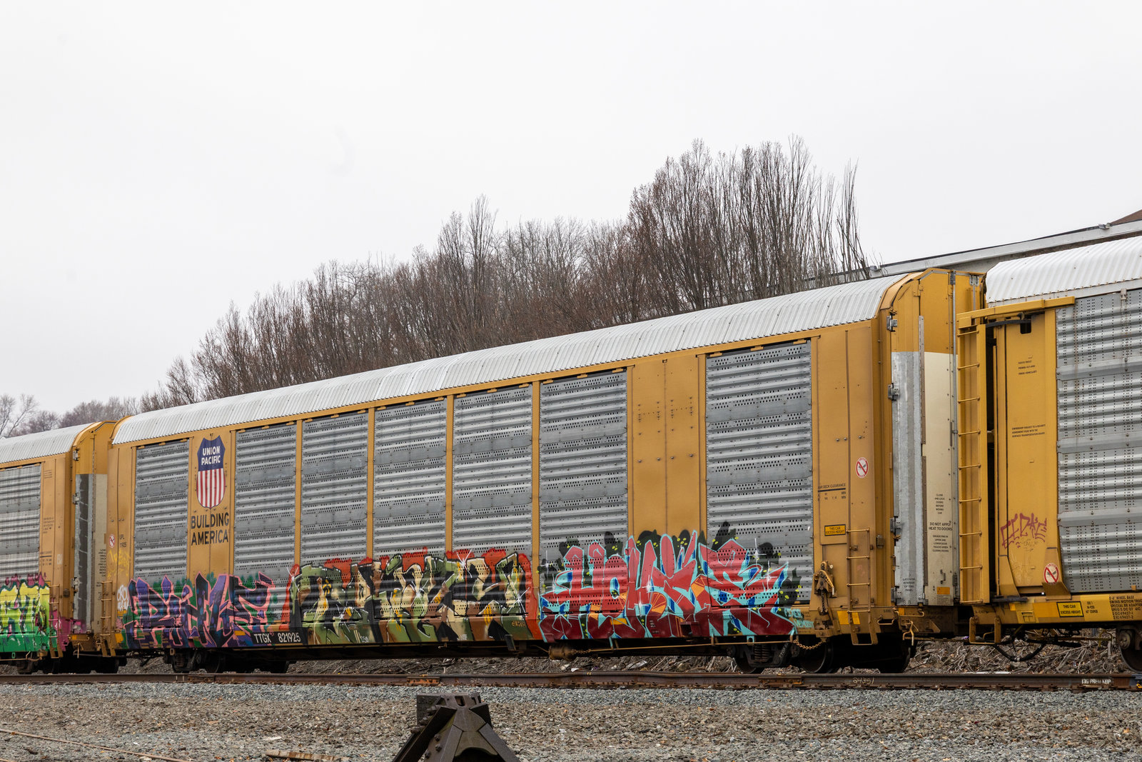 TTGX 821925