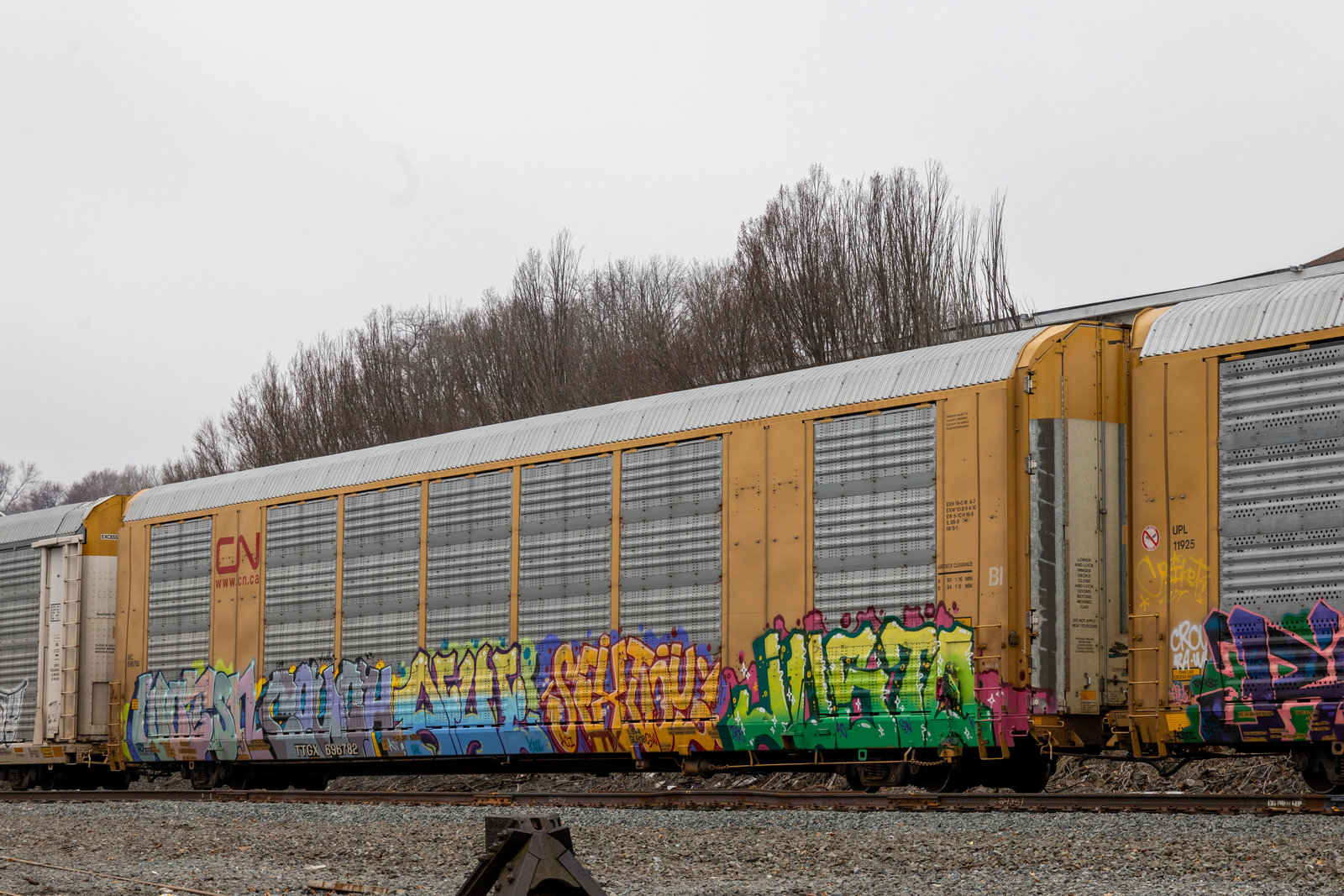 TTGX 696782