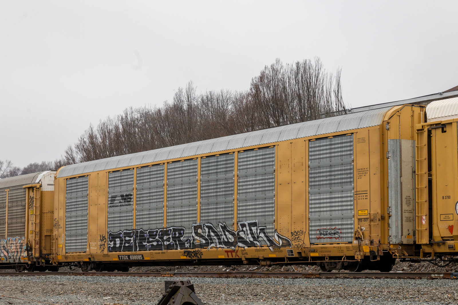 TTGX 698085