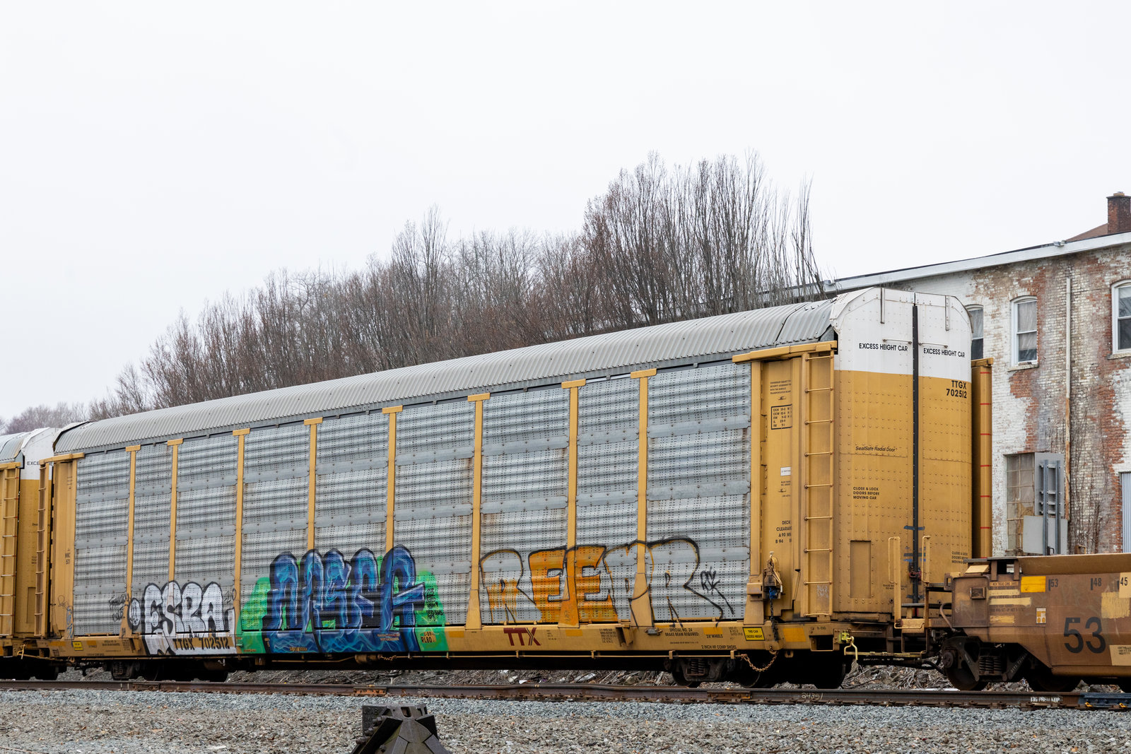 TTGX 702512