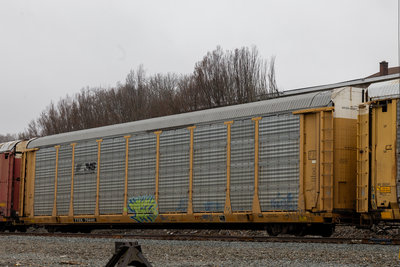 TTGX 704441