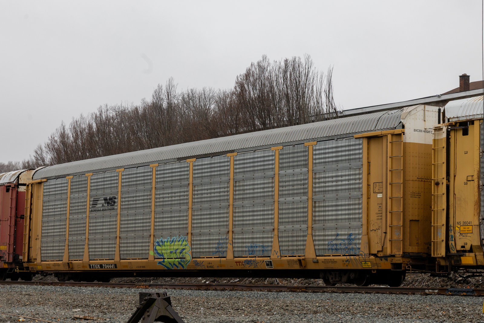 TTGX 704441