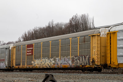 TTGX 988879