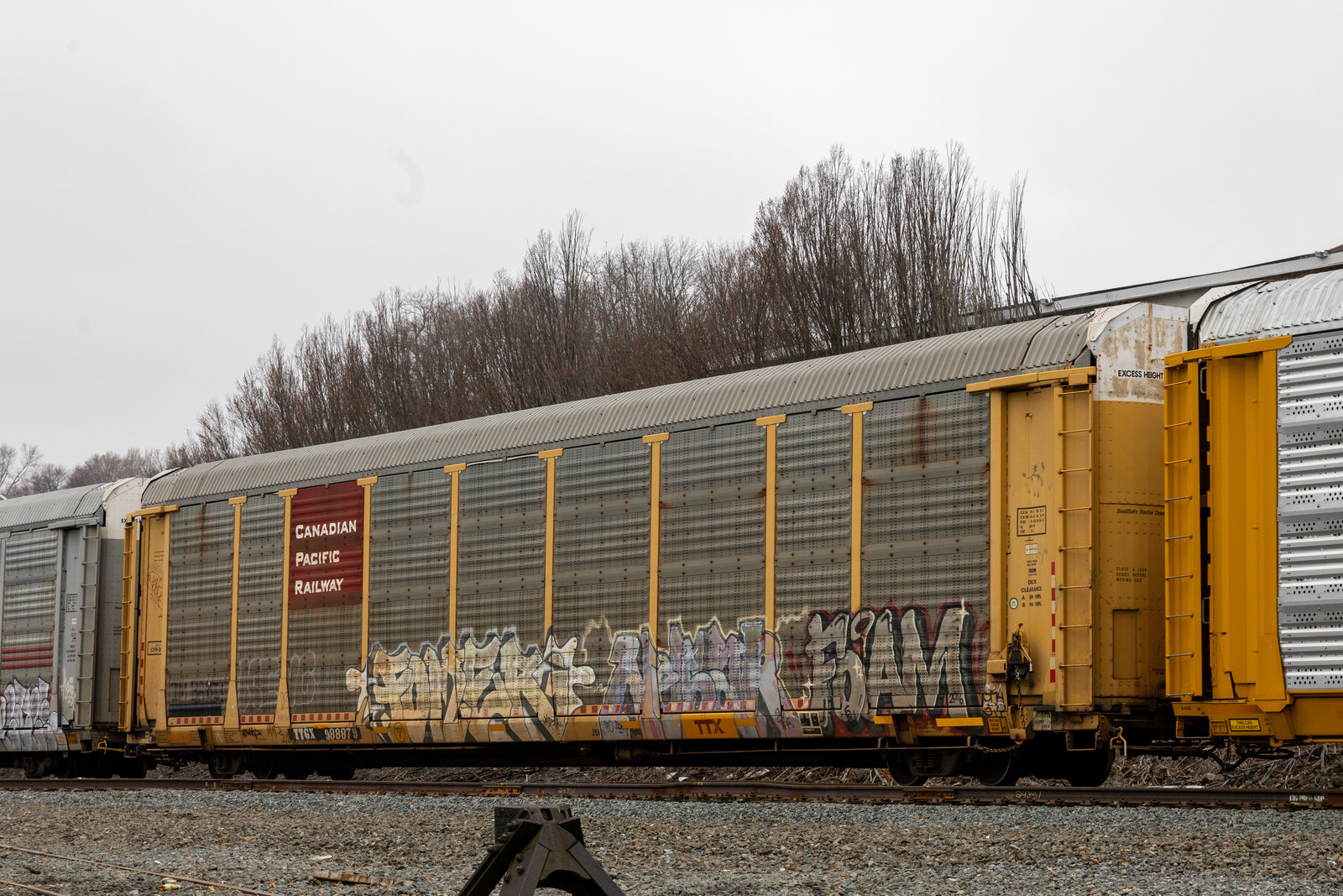TTGX 988879