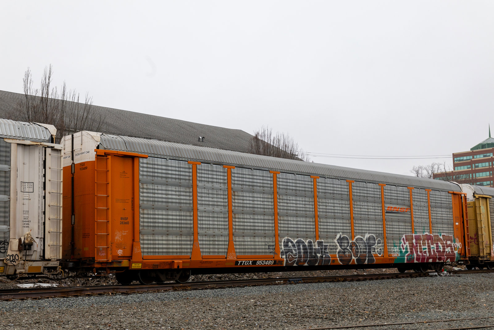 TTGX 953489