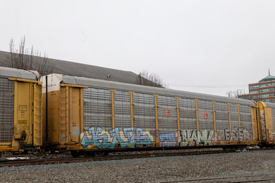TTGX 705116