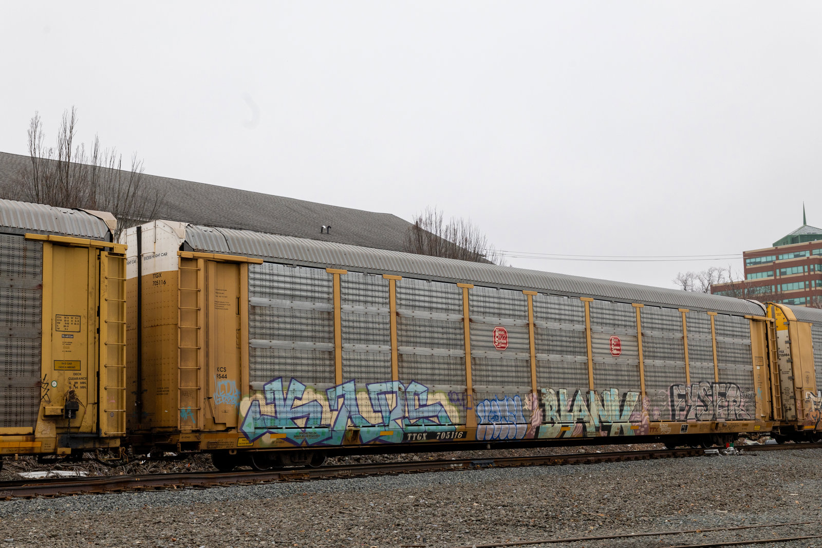TTGX 705116