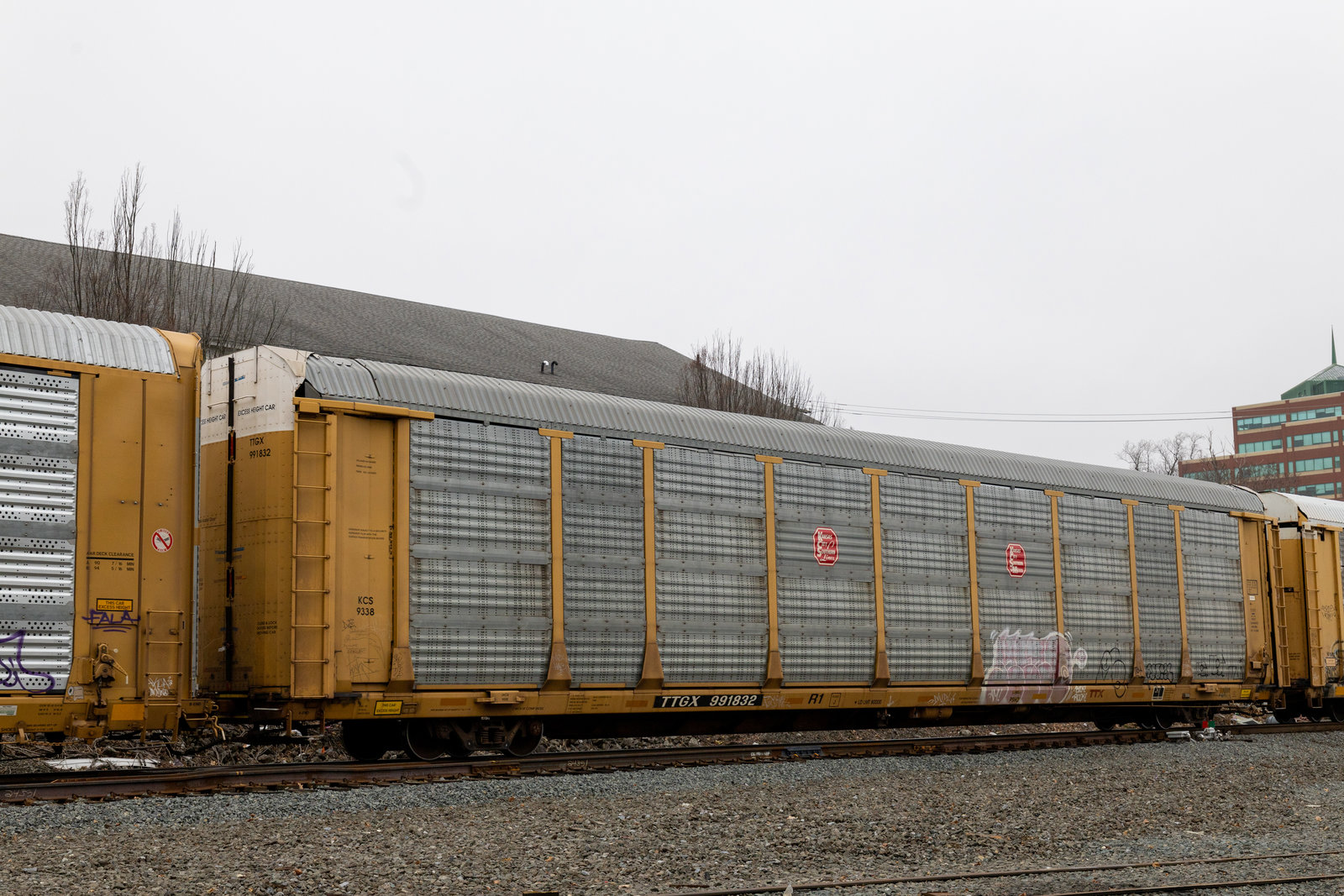 TTGX 991832