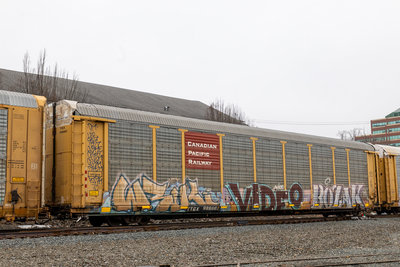 TTGX 988867